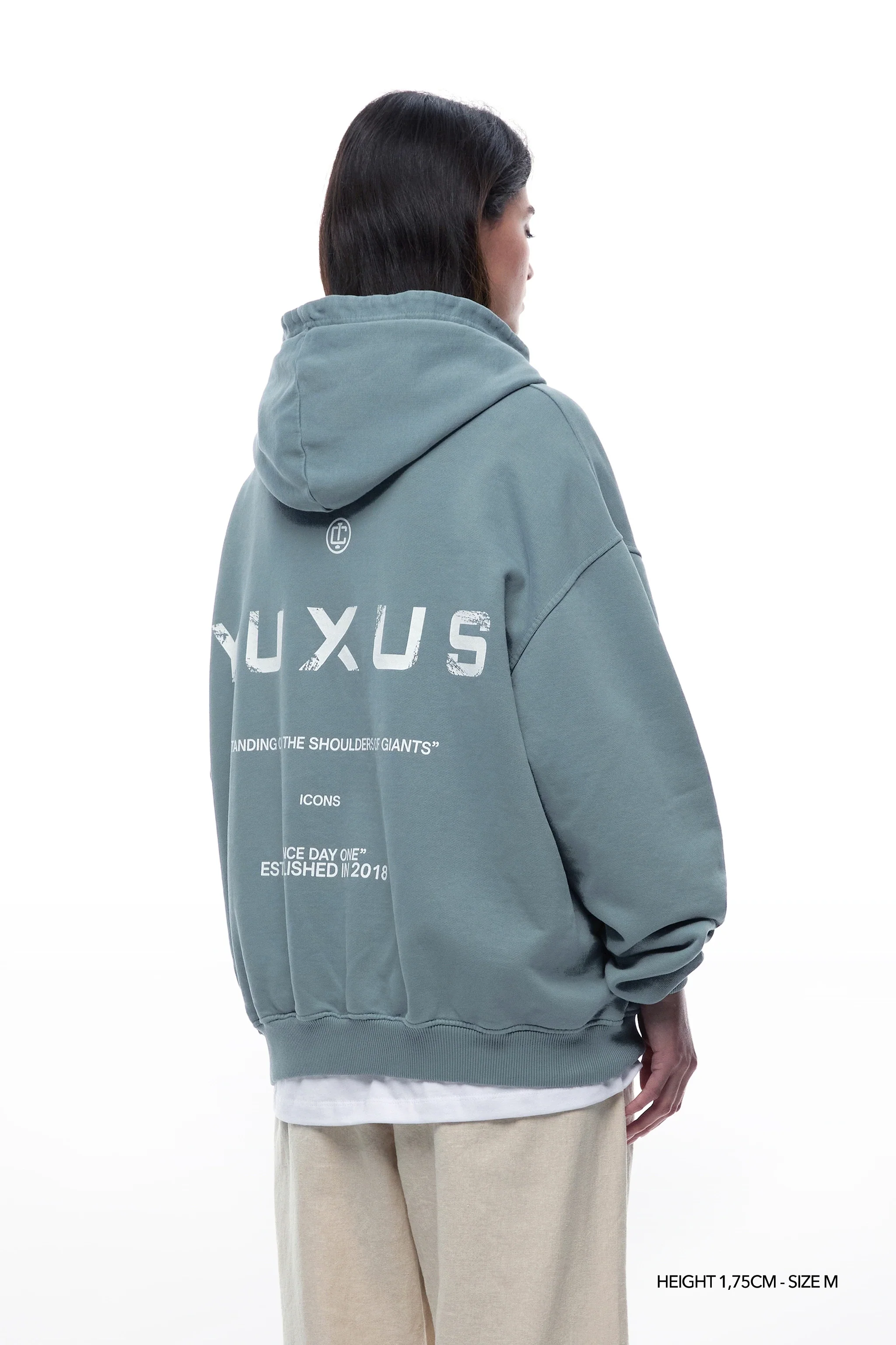 ADEN "ICONS" HOODIE - Image 5