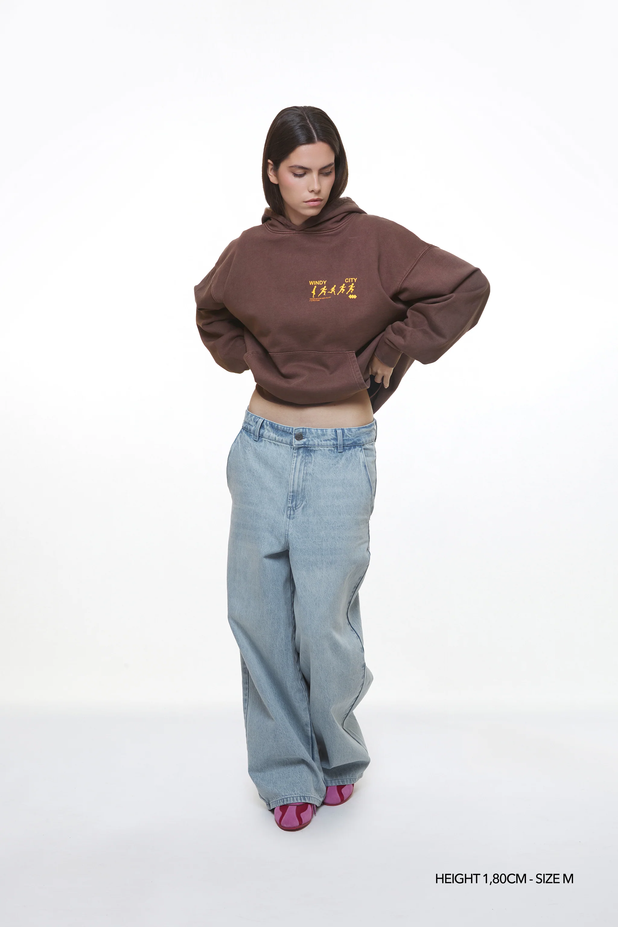 CHESTNUT "WINDY" HOODIE - Image 4