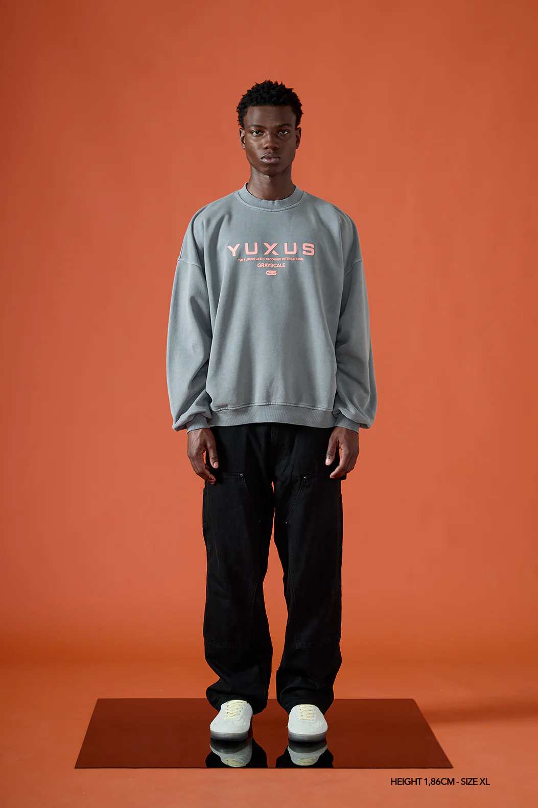 DIM "GRAYSCALE" CREWNECK - Image 3