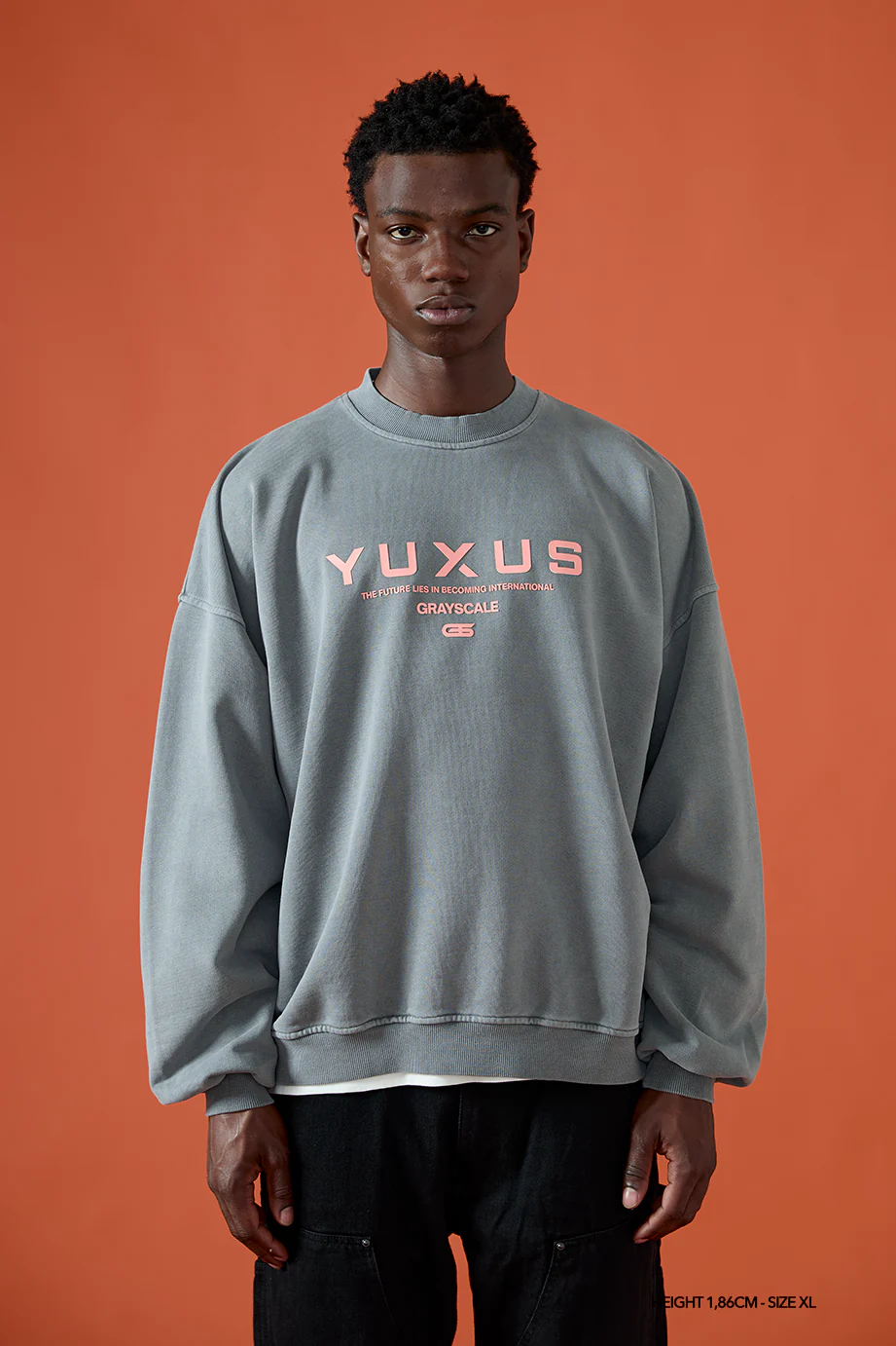 DIM "GRAYSCALE" CREWNECK - Image 4