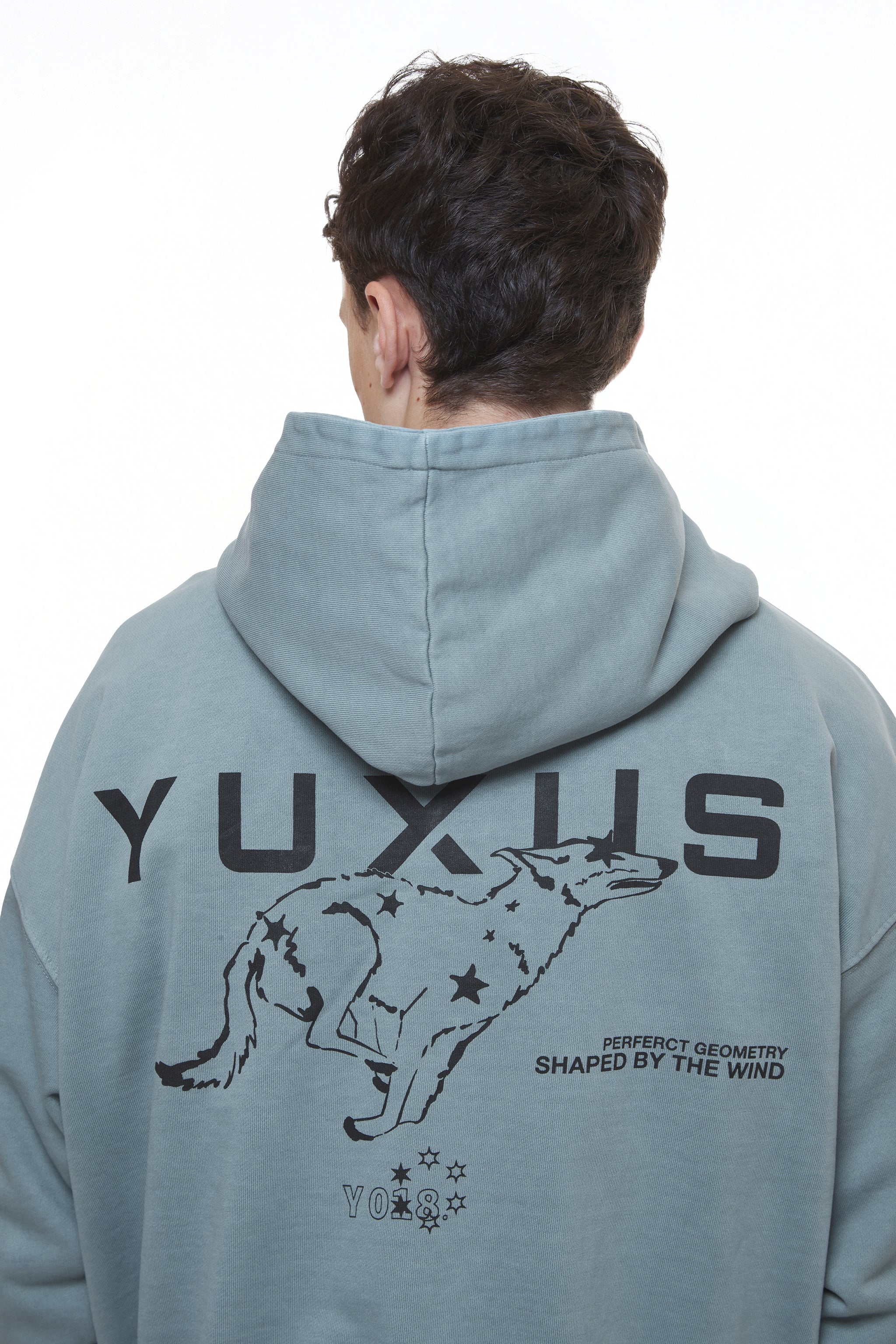 DIODE "WINDY" HOODIE - Image 6