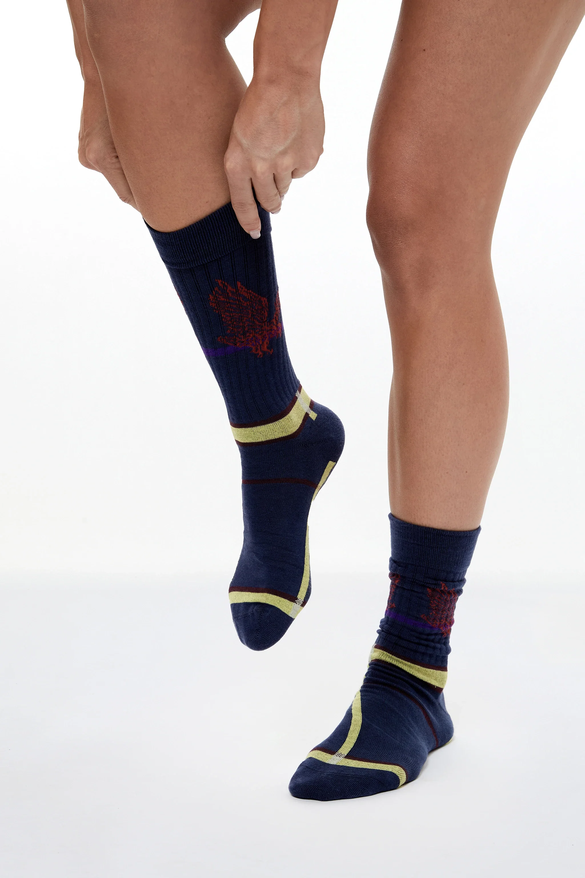 PLUTO "LE CLUB" SOCKS - Image 3